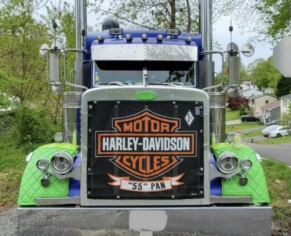 A semi-truck with a custom Bug Screen: Create Your Own front grill and green accents.