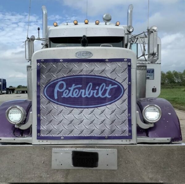 Front view of a purple peterbilt truck with a chrome Semi Custom Bug Screen: Create Your Own and headlights.