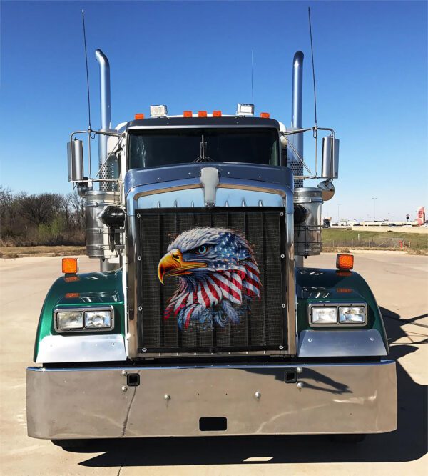 Patriotic Eagle Head - Bug Screen - Image 2