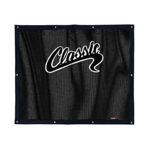 Bug Screen: Classic Logo