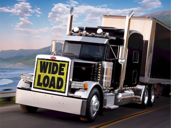 Black semi-truck with Bug Screen: Wide Load sign traveling on a highway with a scenic mountain backdrop.